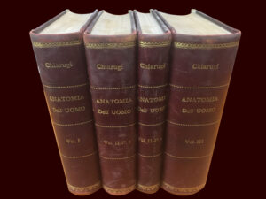 Anatomia dell’uomo – Chiarughi
