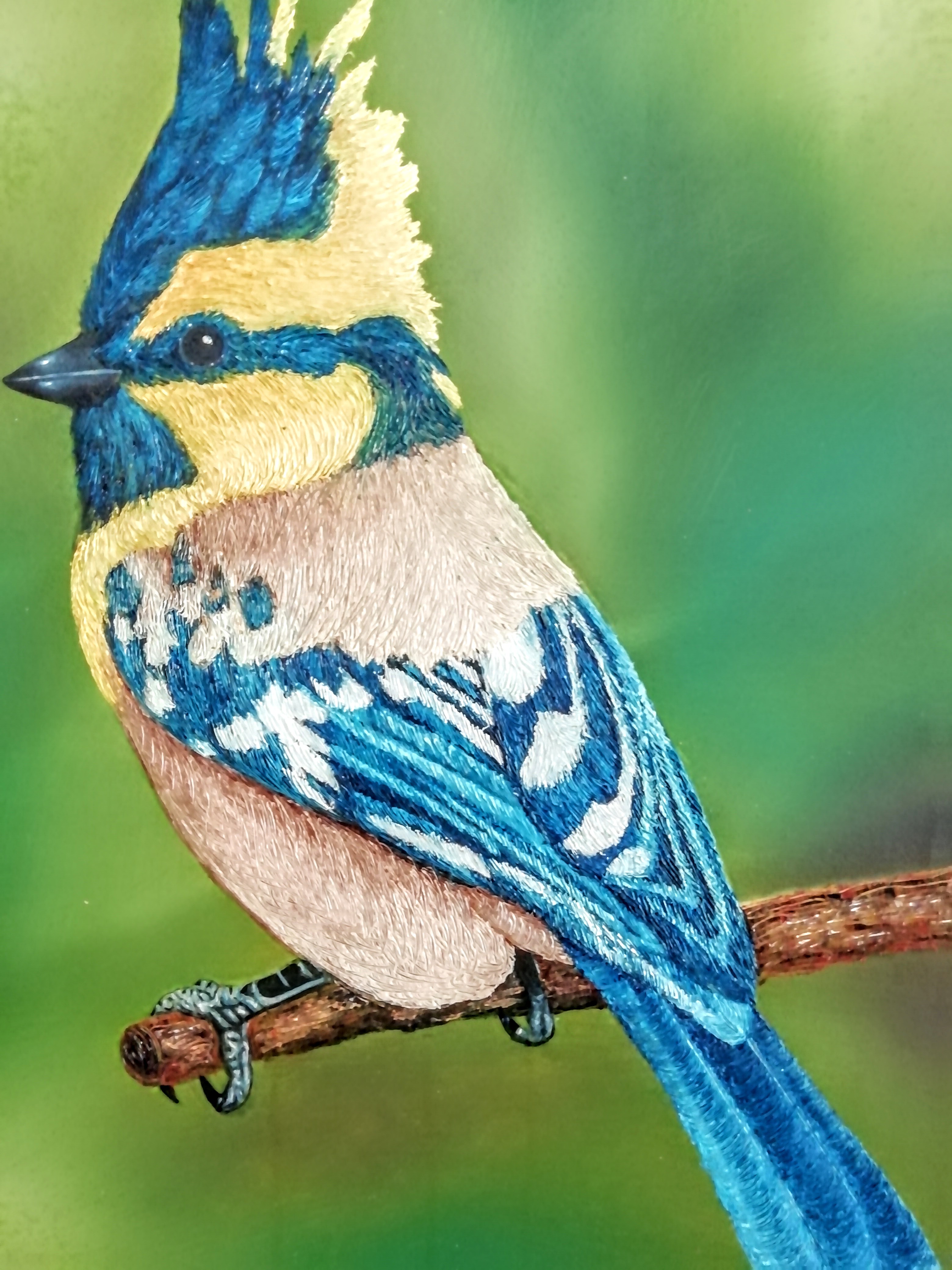 Álvaro Alberto Riaño Lozano – Naturaleza | Vender Cuadros