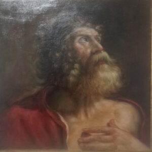 Sarbia Mario Giorgio – Testa di vecchio…copia del Guercino